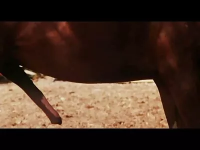 Chichi Çonga gizli çekim porno film izle