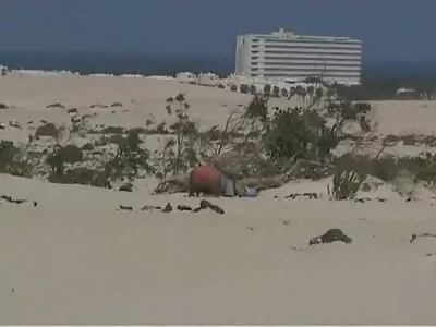 Üniversite türk porno sinema filmi izle İçin Paraya İhtiyacı Var