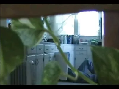 Büyük D'nin Merry Dickmas Özel türk ünlülerin sex filmleri videosu (Sammy Brooks)