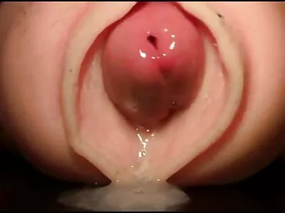 Büyük Baştankara Cassidy Bankalar Yine Büyük Bir Horoz Alarak türkce sex filimler