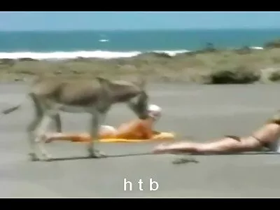 Cum Komutanı türk porno sinema filmi videosu (Holly Sampson)