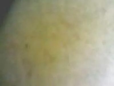 Julianna Vega Sarılı porno türk filmi izle İçin Sikmeyi Seviyor